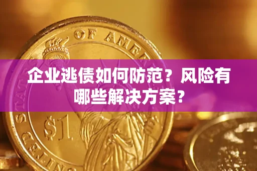 武汉企业逃债如何防范？风险有哪些解决方案？